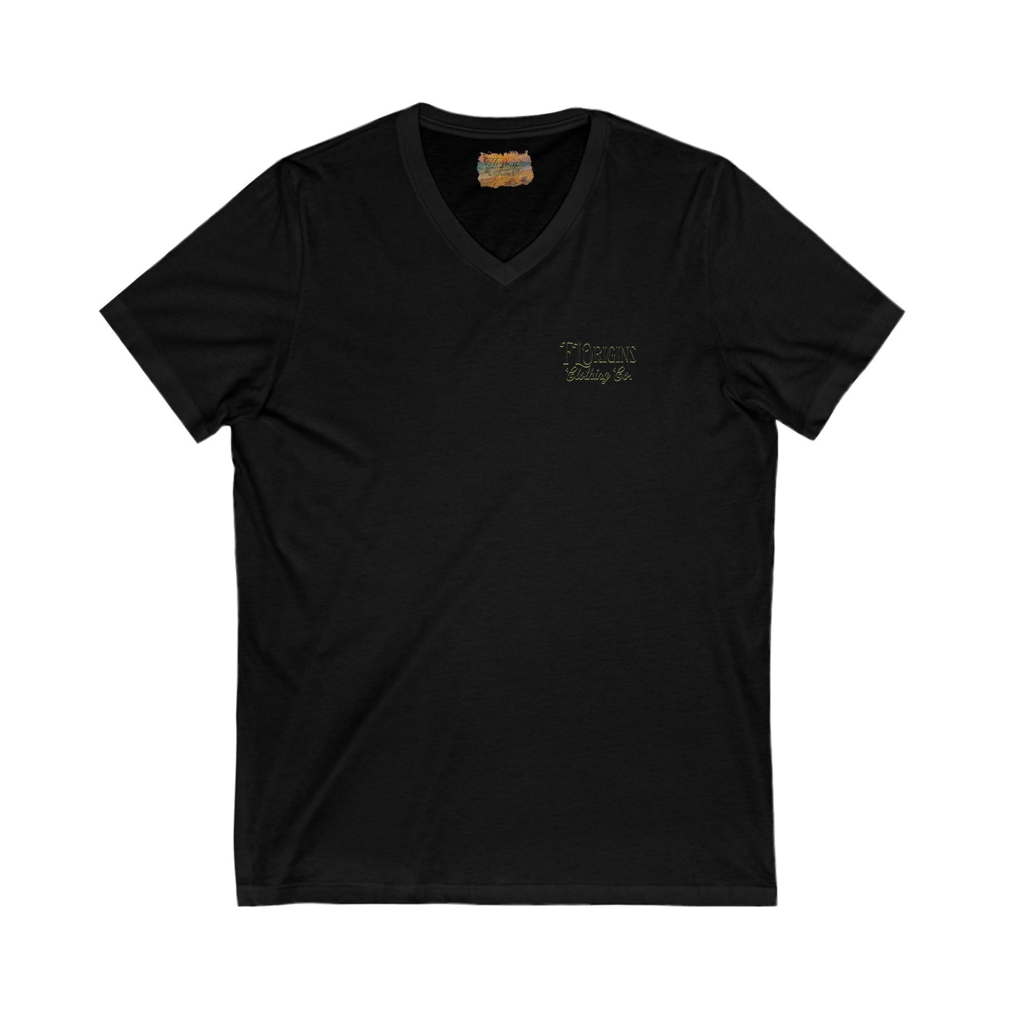 Take Me Back to Old Florida V-Neck Tee