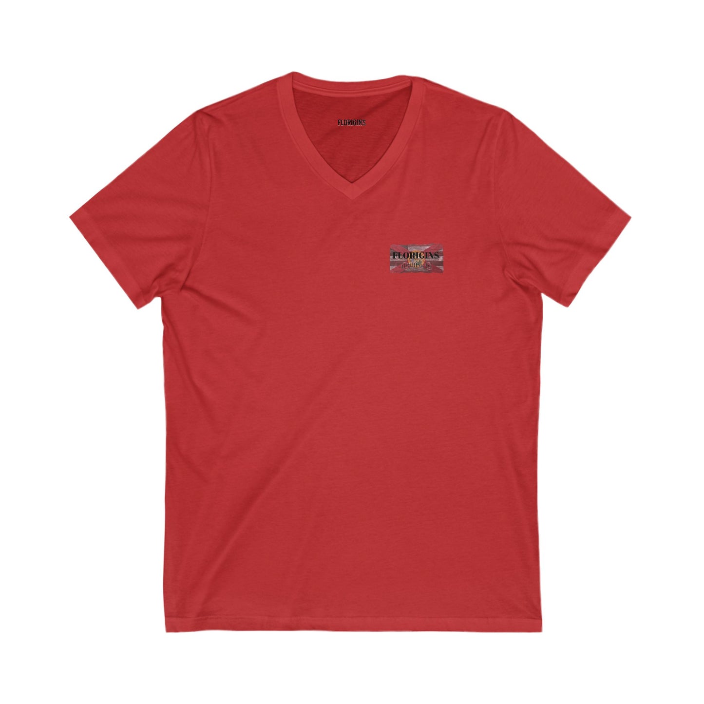 United State of Florida V-Neck Tee